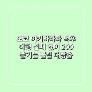 도쿄 아키하바라 덕후 여행: 실패 없이 200% 즐기는 꿀팁 대방출