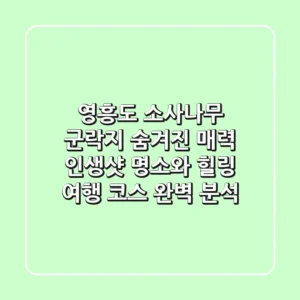 영흥도 소사나무 군락지 숨겨진 매력, 인생샷 명소와 힐링 여행 코스 완벽 분석