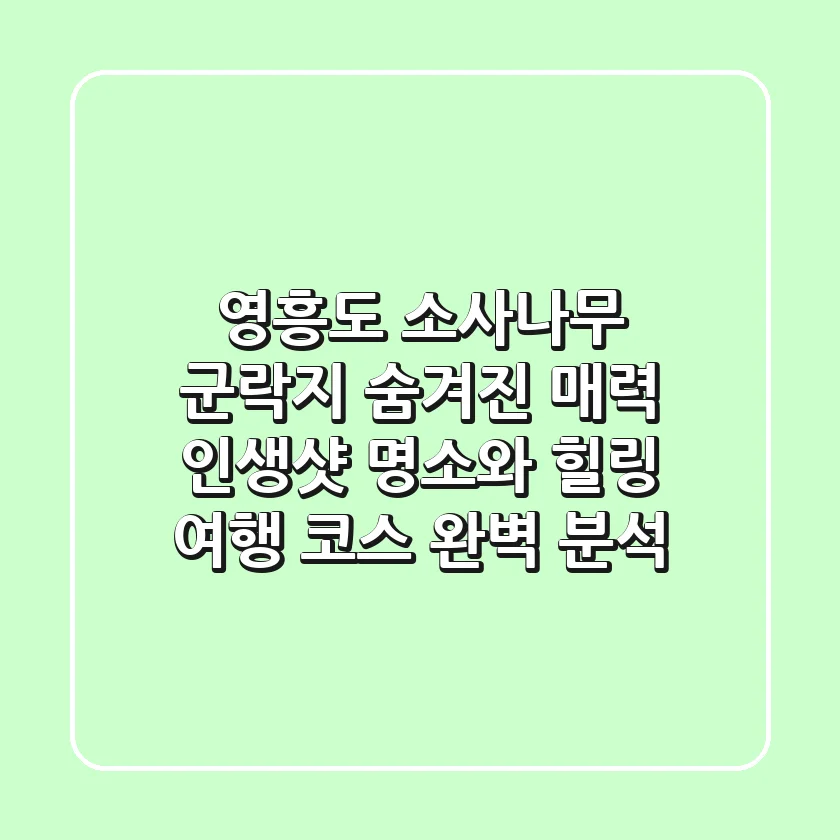 영흥도 소사나무 군락지 숨겨진 매력, 인생샷 명소와 힐링 여행 코스 완벽 분석