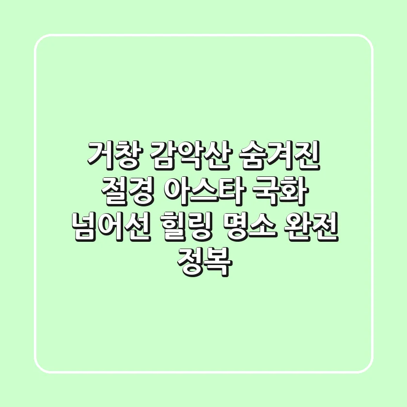 거창 감악산 숨겨진 절경, 아스타 국화 넘어선 힐링 명소 완전 정복