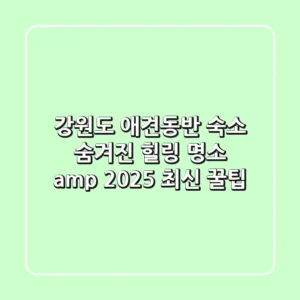 강원도 애견동반 숙소: 숨겨진 힐링 명소 & 2025 최신 꿀팁