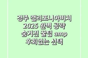 경주 캘리포니아비치 2025 완벽 공략: 숨겨진 꿀팁 & 후회없는 선택!