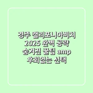 경주 캘리포니아비치 2025 완벽 공략: 숨겨진 꿀팁 & 후회없는 선택!