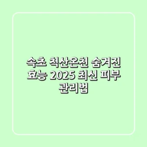속초 척산온천 숨겨진 효능: 2025 최신 피부 관리법