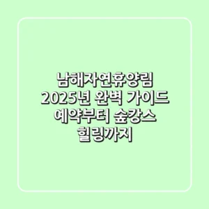 남해자연휴양림 2025년 완벽 가이드: 예약부터 숲캉스 힐링까지