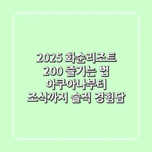 2025 화순리조트 200% 즐기는 법: 아쿠아나부터 조식까지, 솔직 경험담!