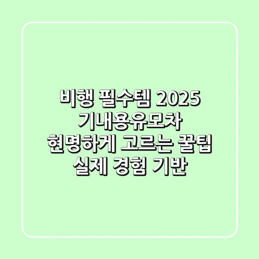 비행 필수템? 2025 기내용유모차 현명하게 고르는 꿀팁 (실제 경험 기반)