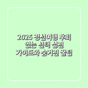 2025 정선여행, 후회 없는 선택! 실전 가이드와 숨겨진 꿀팁