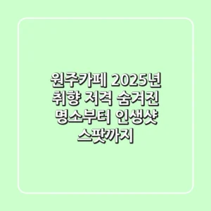 원주카페, 2025년 취향 저격! 숨겨진 명소부터 인생샷 스팟까지