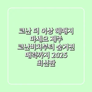 코난, 더 이상 헤매지 마세요! 제주 코난비치부터 숨겨진 매력까지 (2025 최신판)