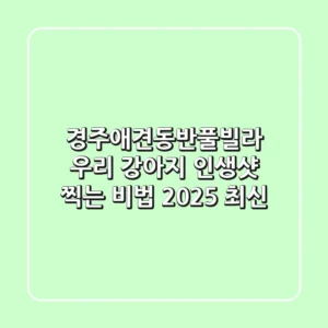 경주애견동반풀빌라, 우리 강아지 인생샷 찍는 비법! (2025 최신)