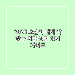 2025 오썸머, 내게 딱 맞는 여름 경험 찾기 가이드