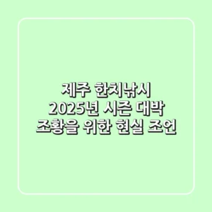 제주 한치낚시, 2025년 시즌 '대박 조황'을 위한 현실 조언