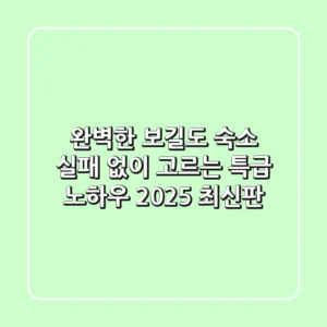 완벽한 보길도 숙소, 실패 없이 고르는 특급 노하우 (2025 최신판)