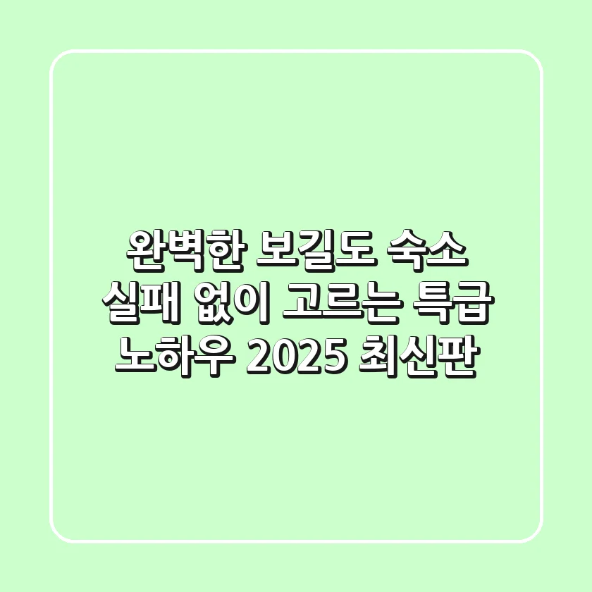 완벽한 보길도 숙소, 실패 없이 고르는 특급 노하우 (2025 최신판)
