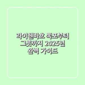 라이헨바흐: 폭포부터 그릇까지, 2025년 완벽 가이드