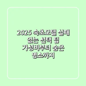 2025 속초모텔, 실패 없는 선택 팁: 가성비부터 숨은 명소까지