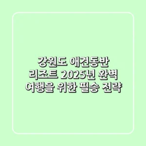 강원도 애견동반 리조트, 2025년 완벽 여행을 위한 필승 전략