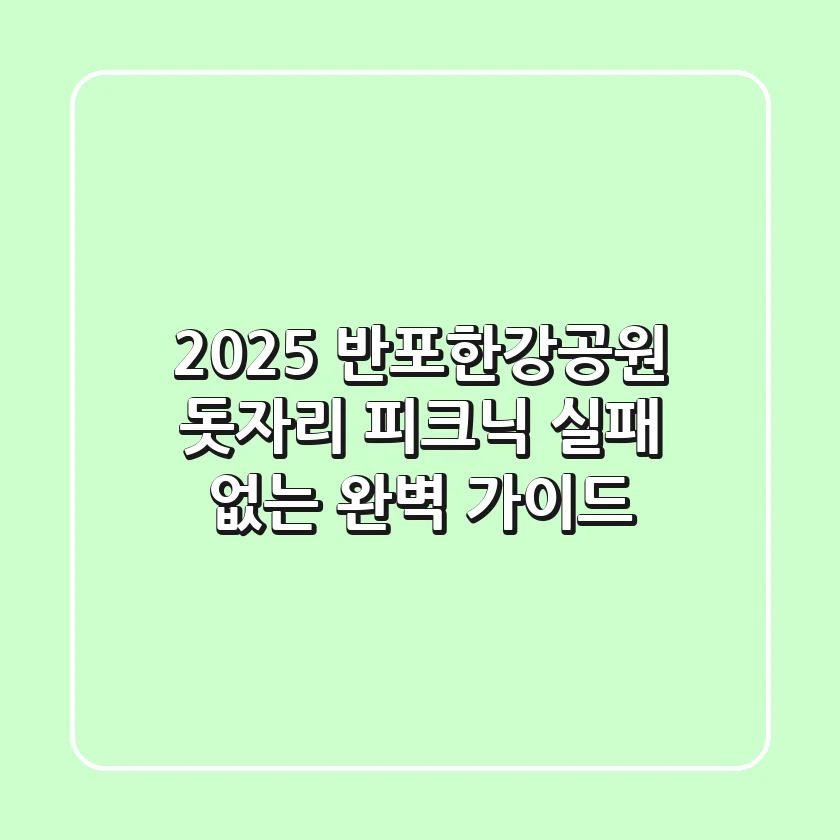 2025 반포한강공원 돗자리 피크닉: 실패 없는 완벽 가이드