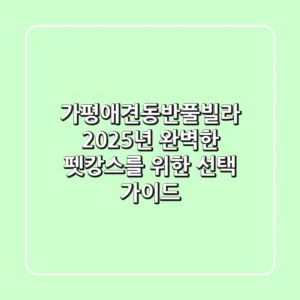 가평애견동반풀빌라, 2025년 완벽한 펫캉스를 위한 선택 가이드