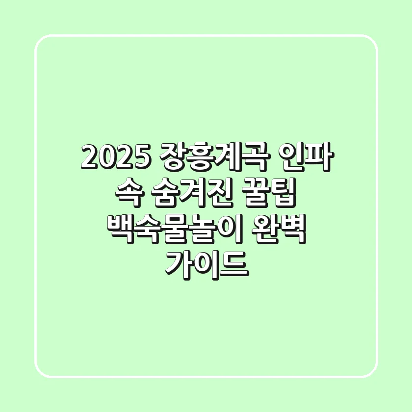 2025 장흥계곡, 인파 속 숨겨진 꿀팁! 백숙/물놀이 완벽 가이드