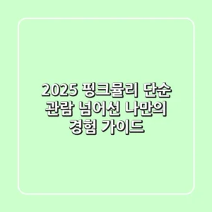 2025 핑크뮬리: 단순 관람 넘어선 나만의 경험 가이드