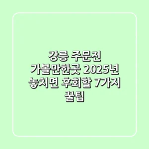 강릉 주문진 가볼만한곳, 2025년 놓치면 후회할 7가지 꿀팁