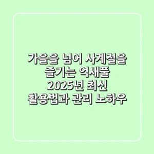 가을을 넘어 사계절을 즐기는 억새풀, 2025년 최신 활용법과 관리 노하우