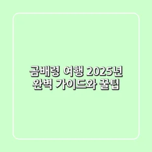 곰배령 여행, 2025년 완벽 가이드와 꿀팁
