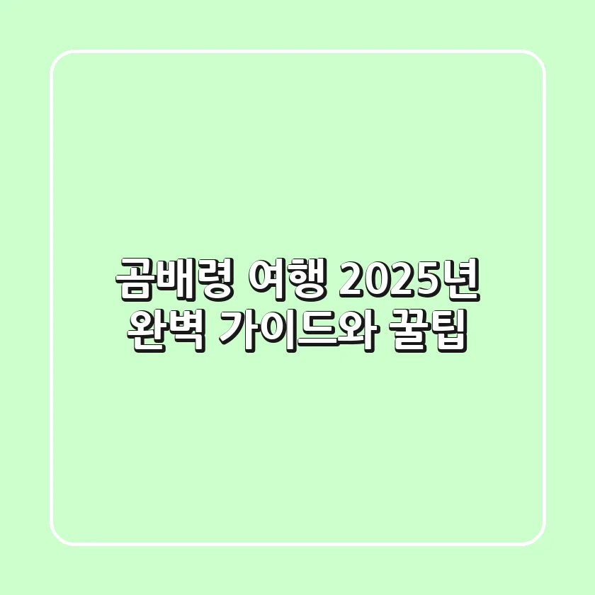 곰배령 여행, 2025년 완벽 가이드와 꿀팁