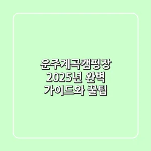 운주계곡캠핑장: 2025년 완벽 가이드와 꿀팁