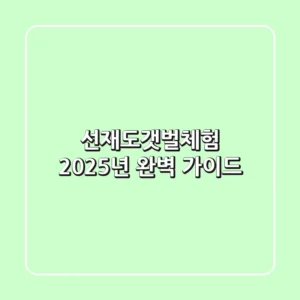 선재도갯벌체험, 2025년 완벽 가이드