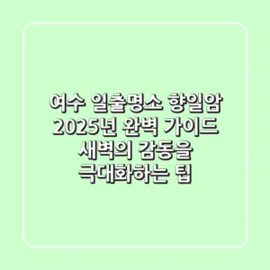 여수 일출명소, 향일암 2025년 완벽 가이드: 새벽의 감동을 극대화하는 팁