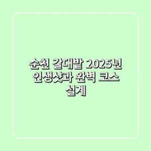순천 갈대밭, 2025년 인생샷과 완벽 코스 설계