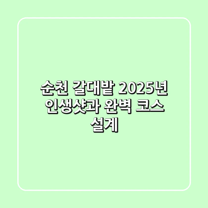 순천 갈대밭, 2025년 인생샷과 완벽 코스 설계