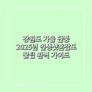 강원도 가을 단풍 2025년: 인생샷+혼잡도 꿀팁 완벽 가이드