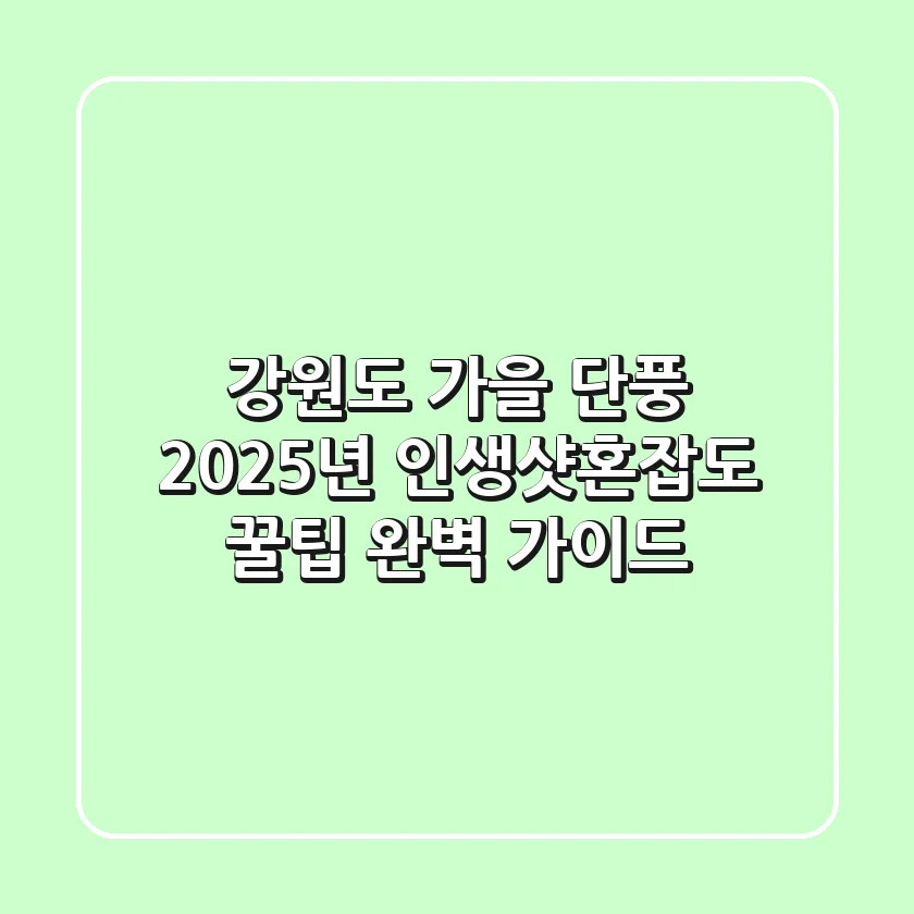 강원도 가을 단풍 2025년: 인생샷+혼잡도 꿀팁 완벽 가이드