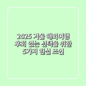 2025 겨울 해외여행, 후회 없는 선택을 위한 5가지 현실 조언