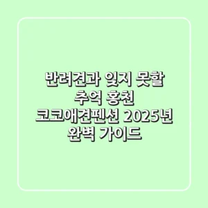 반려견과 잊지 못할 추억, 홍천 코코애견펜션 2025년 완벽 가이드
