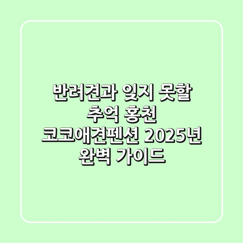 반려견과 잊지 못할 추억, 홍천 코코애견펜션 2025년 완벽 가이드