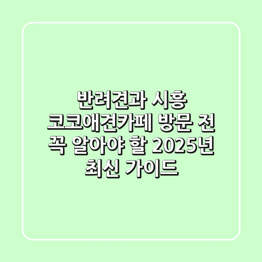 반려견과 시흥 코코애견카페 방문 전, 꼭 알아야 할 2025년 최신 가이드