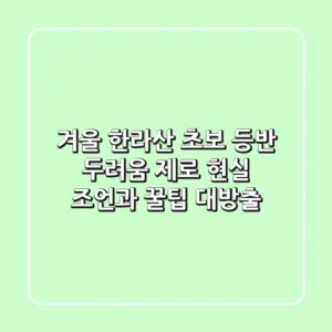 겨울 한라산 초보 등반: 두려움 제로! 현실 조언과 꿀팁 대방출