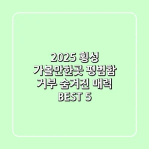 2025 횡성 가볼만한곳: 평범함 거부! 숨겨진 매력 BEST 5