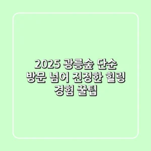 2025 광릉숲: 단순 방문 넘어 진정한 힐링 경험 꿀팁