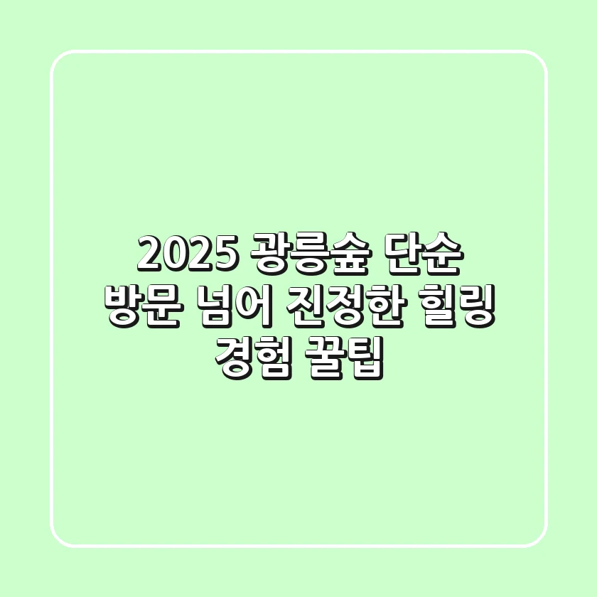2025 광릉숲: 단순 방문 넘어 진정한 힐링 경험 꿀팁