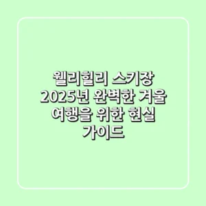 웰리힐리 스키장, 2025년 완벽한 겨울 여행을 위한 현실 가이드