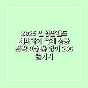 2025 안성팜랜드 해바라기 축제 성공 전략: 아쉬움 없이 200% 즐기기