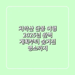 치악산 단풍 여행, 2025년 완벽 계획부터 숨겨진 명소까지