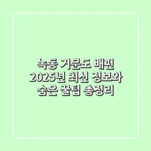 녹동 거문도 배편: 2025년 최신 정보와 숨은 꿀팁 총정리