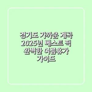 경기도 가까운 계곡, 2025년 베스트 픽! 완벽한 여름휴가 가이드